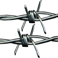 Double Twisted Galvanized Barbed Wire in Coil on Amazon & Ebay